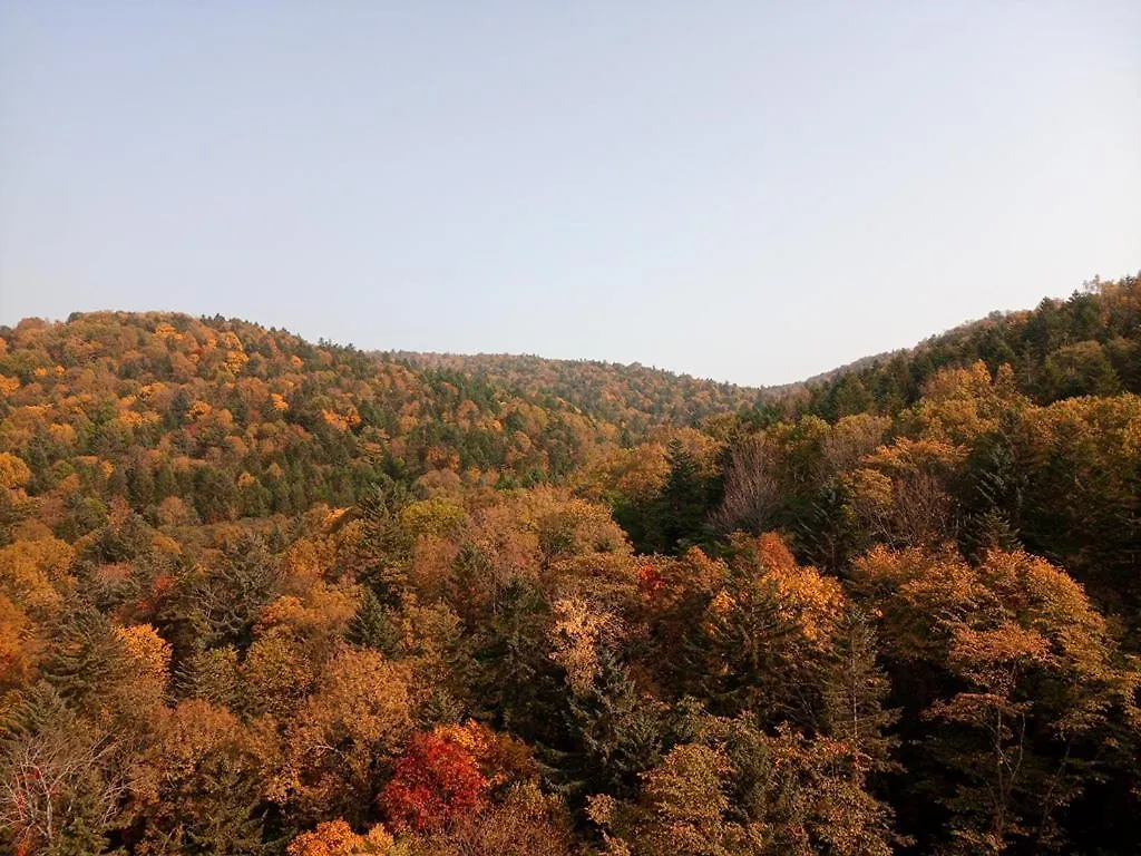 东川町 北海道k之屋-旭岳温泉青年旅馆旅舍 旅馆